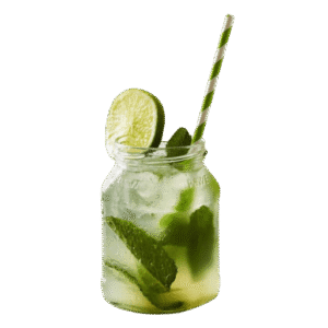 Lemon Mint Mojito